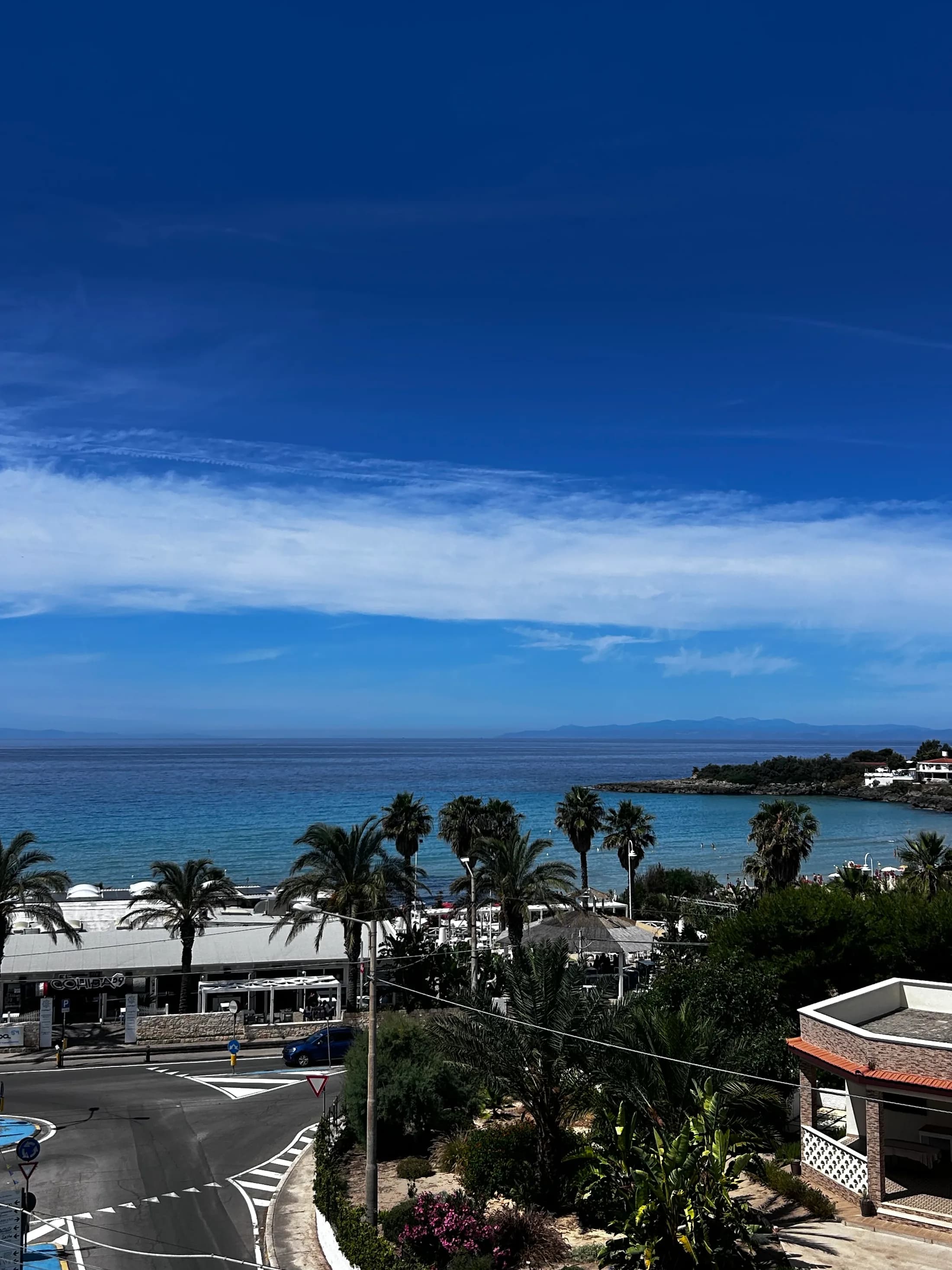 Vista sul lungomare con palme e baia