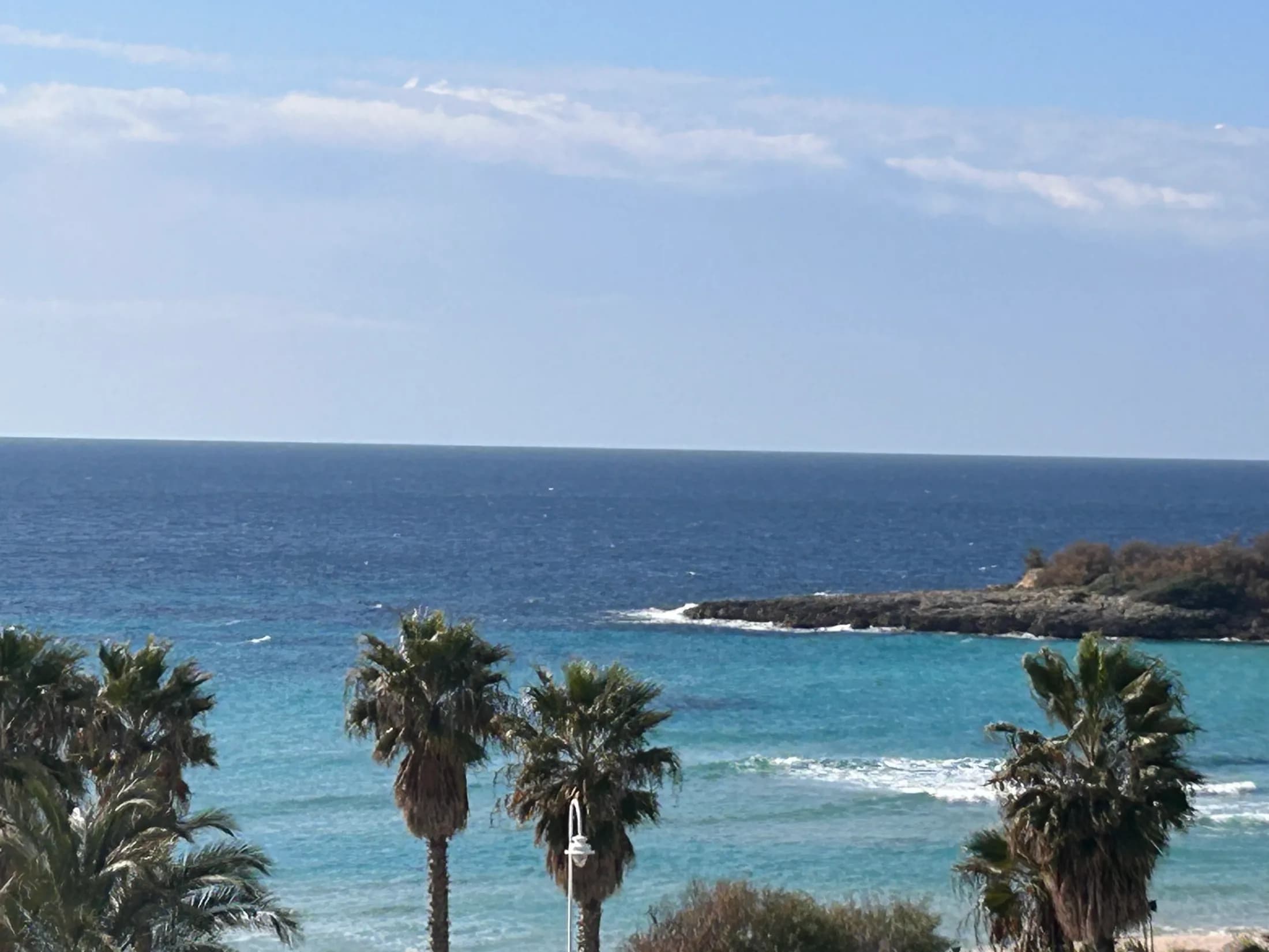 Baia con palme e spiaggia