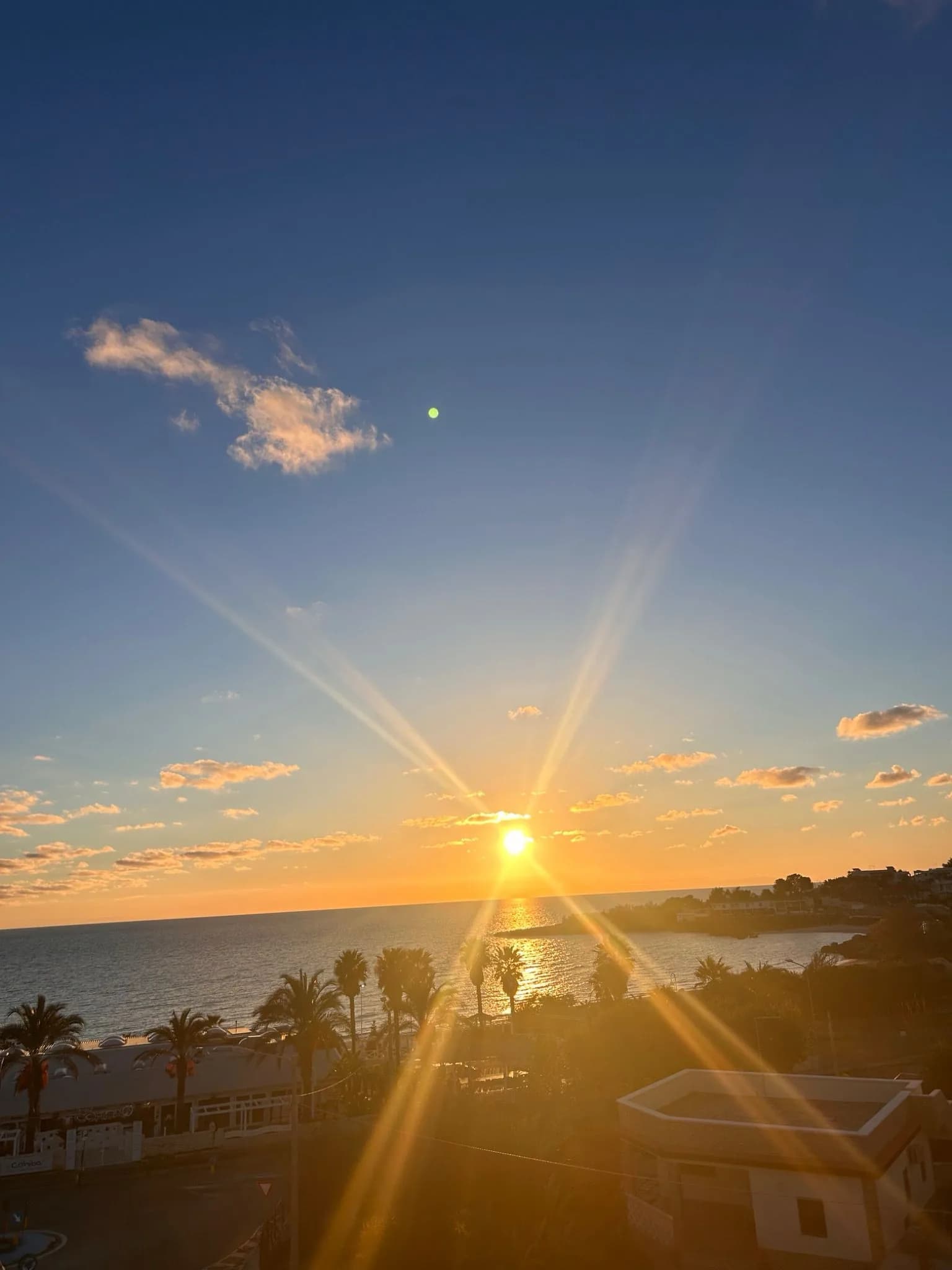 Tramonto sulla costa con palme