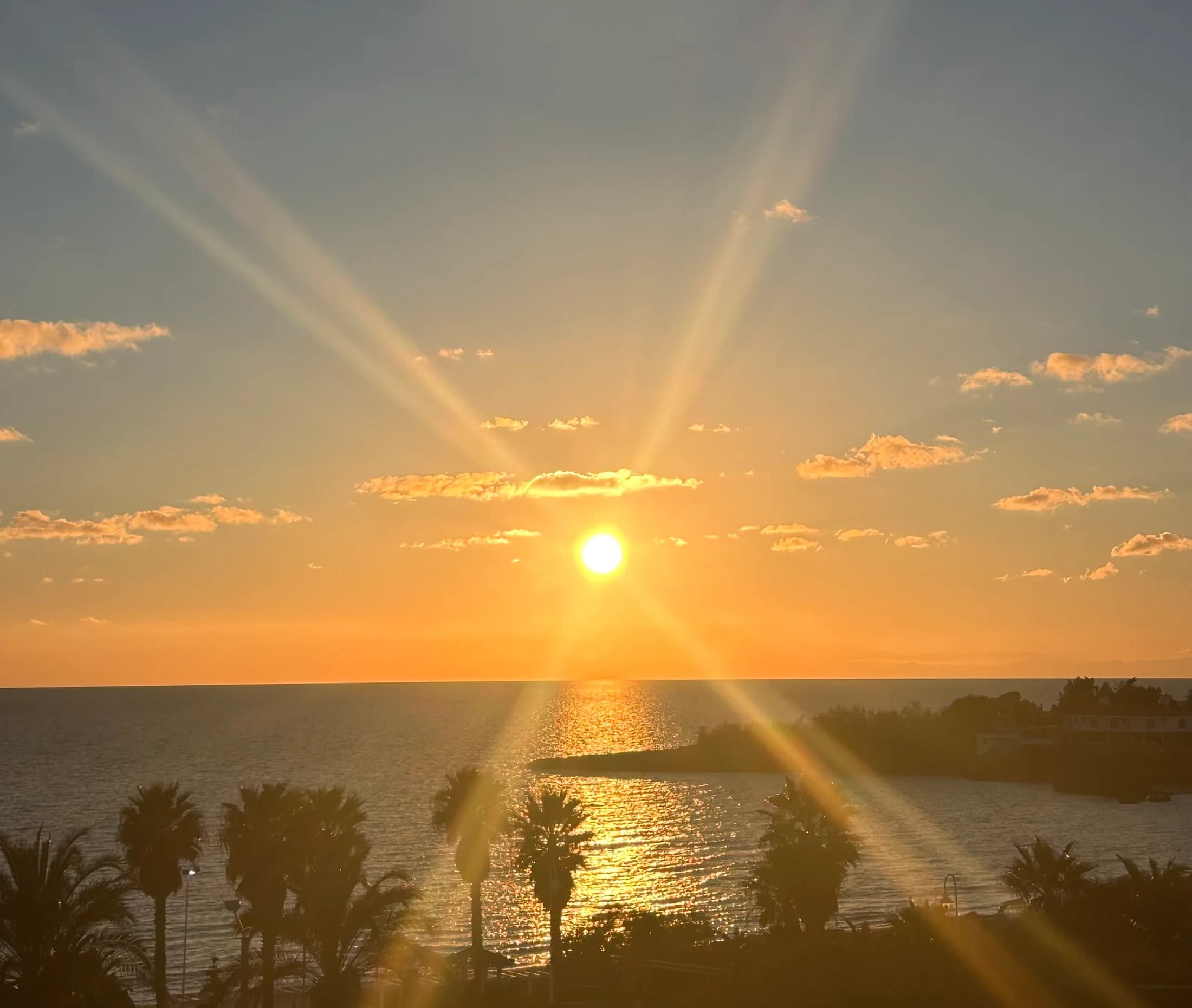 Tramonto dorato sul mare tra le palme